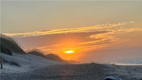 Banner Picture